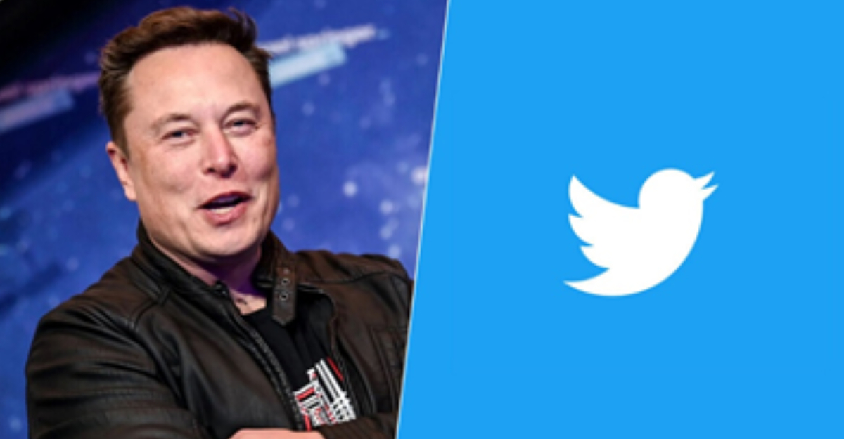 Elon Musk suspende temporalmente la compra de Twitter, ¿por qué?