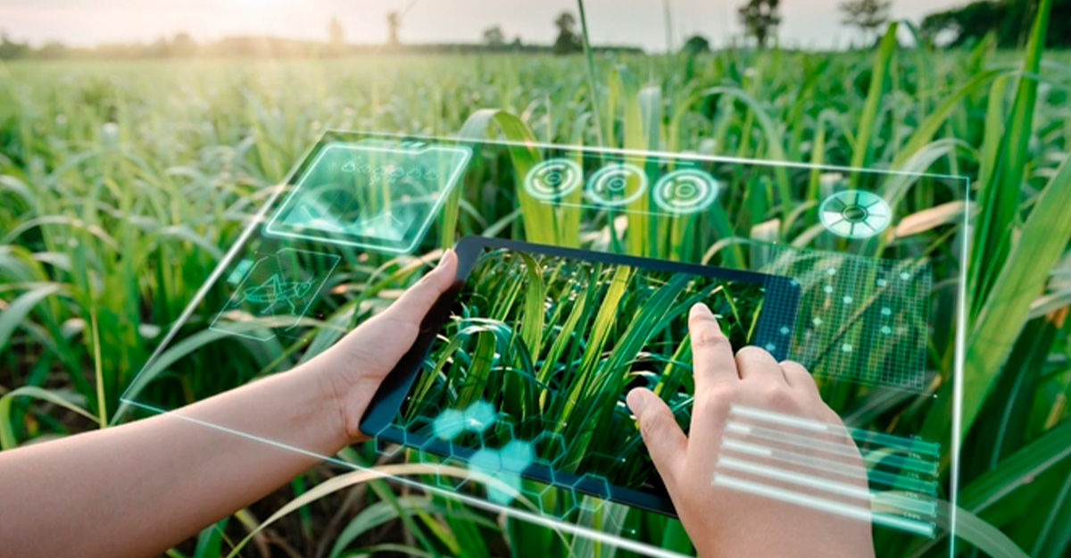 FoodTech y su papel en la transición alimentaria hacia la sostenibilidad