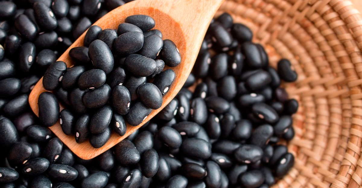 Importaciones mexicanas de frijol crecen 107% en primer trimestre del año: GCMA