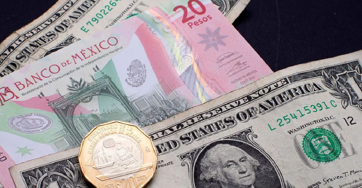 Peso se perfila a frenar racha de cinco semanas de pérdidas; BMV avanza