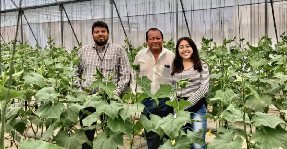 Earth-IoT: La startup mexicana que quiere convertirse en el Uber del campo