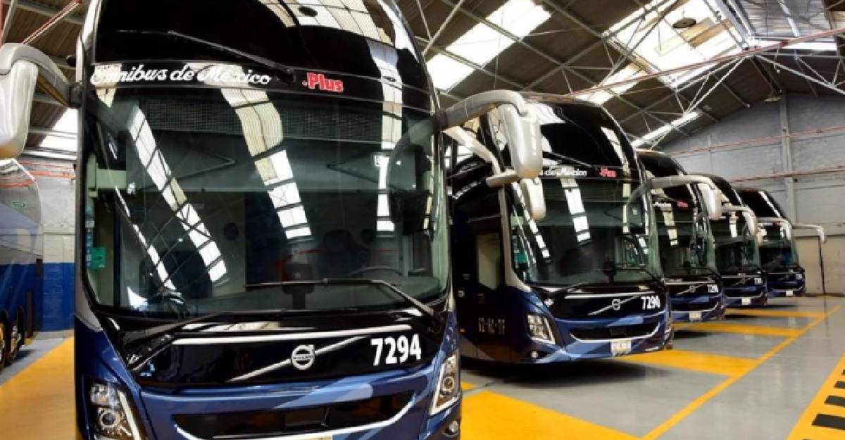 Empresas de autobuses proyectan crecimiento ante impulso ferroviario federal